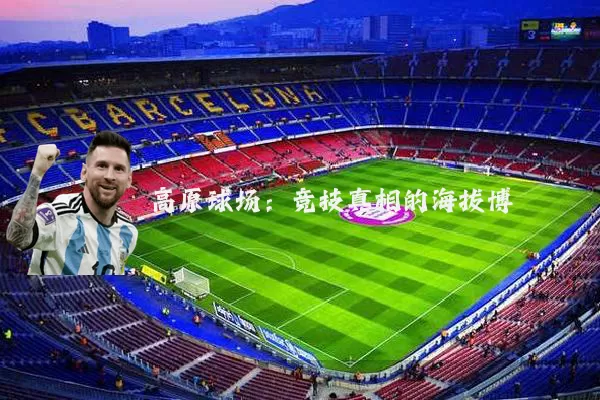 高原球场：竞技真相的海拔博弈